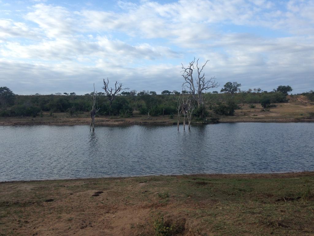 Sweni Lodge 91 Mjejane Kruger Park Hectorspruit Exteriér fotografie