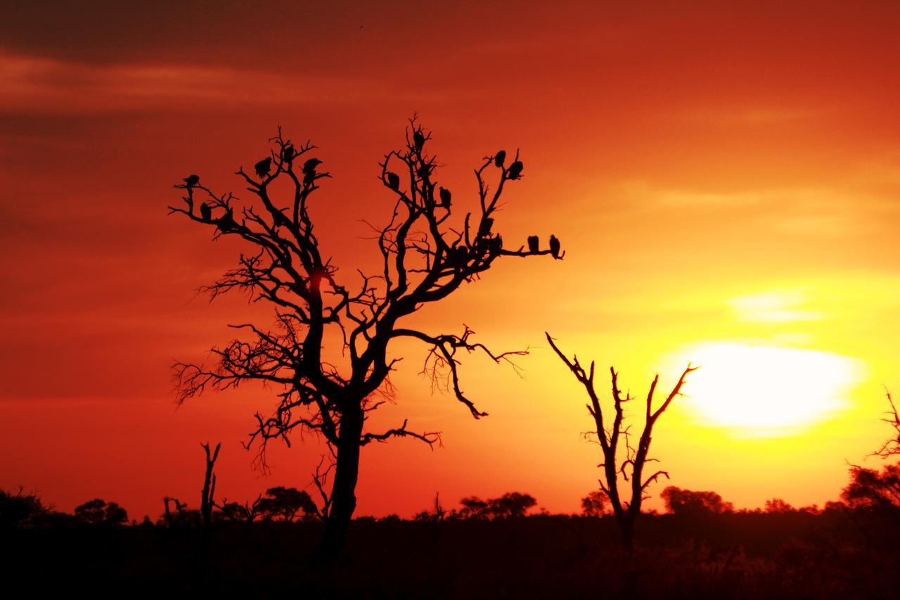Sweni Lodge 91 Mjejane Kruger Park Hectorspruit Exteriér fotografie