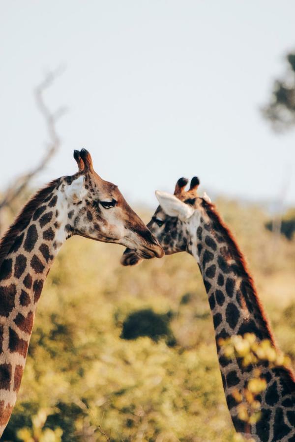 Sweni Lodge 91 Mjejane Kruger Park Hectorspruit Exteriér fotografie